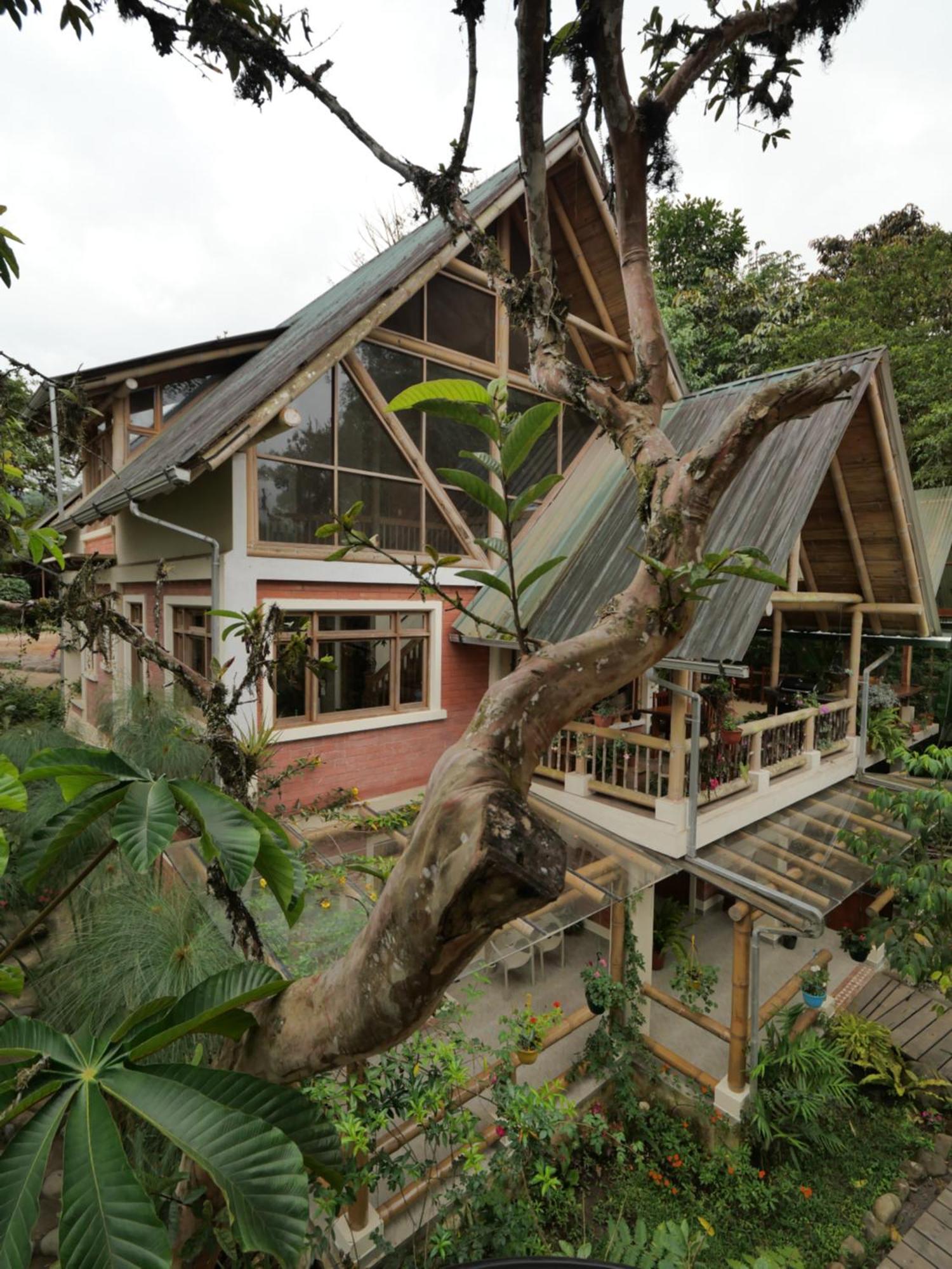 Bed and Breakfast Casa Del Rio En Миндо Экстерьер фото
